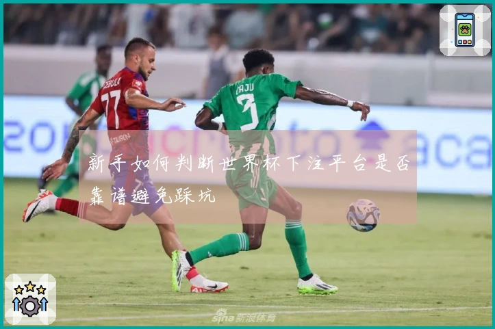 新手如何判断世界杯下注平台是否靠谱避免踩坑