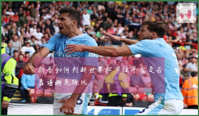 新手如何判断世界杯下注平台是否靠谱避免踩坑