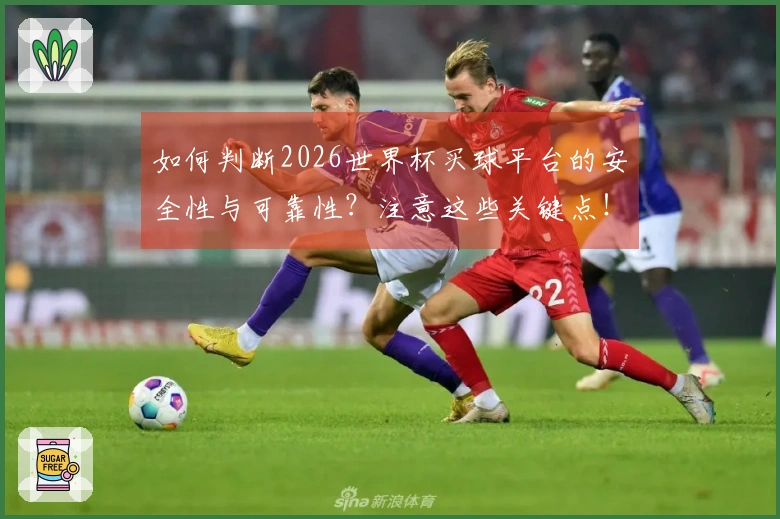 如何判断2026世界杯买球平台的安全性与可靠性？注意这些关键点！