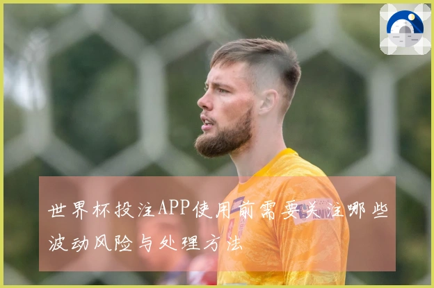 世界杯投注APP使用前需要关注哪些波动风险与处理方法